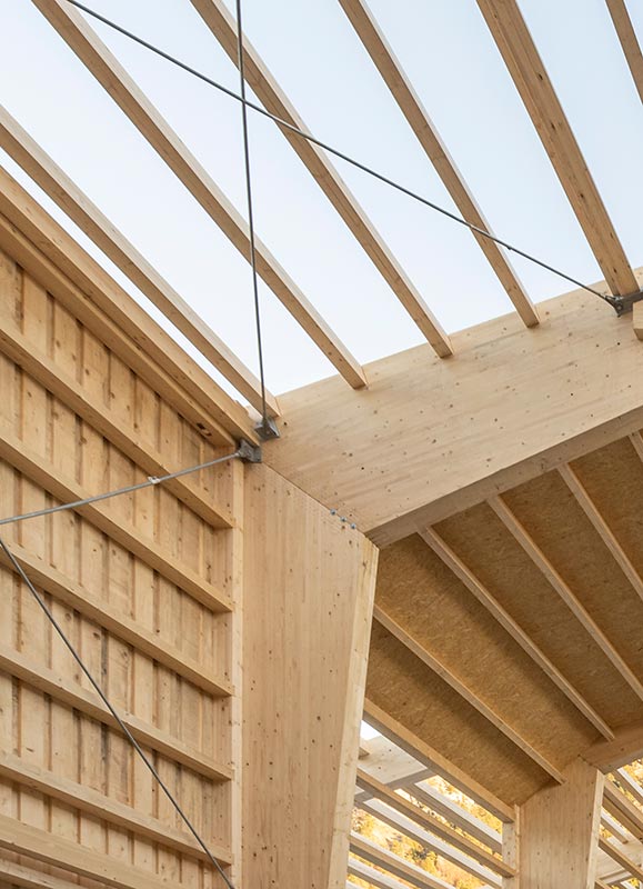 Two modern accent lights with a matte black exterior and gold lining are shown against a white ceiling.